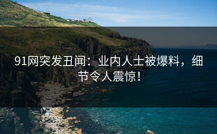 91网突发丑闻：业内人士被爆料，细节令人震惊！