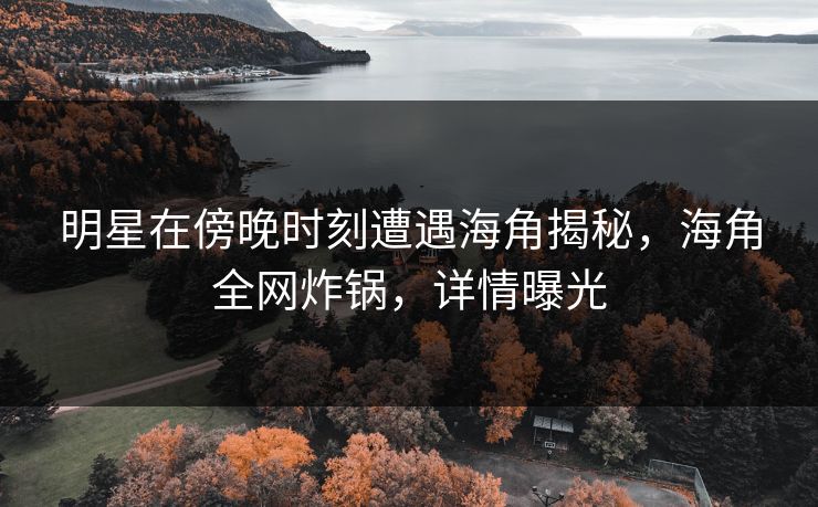 明星在傍晚时刻遭遇海角揭秘，海角全网炸锅，详情曝光