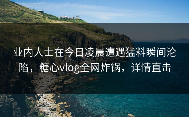 业内人士在今日凌晨遭遇猛料瞬间沦陷，糖心vlog全网炸锅，详情直击